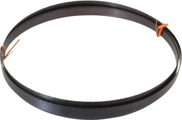 Disston E1768 Welded Bandsaw Blade 10' Long, 0.032" Thick, 10 TPI