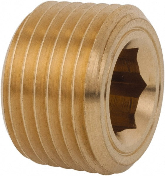 Legris 0205 13 00 Industrial Pipe Hollow Hex Plug 1/4" Male Thread, MBSPT