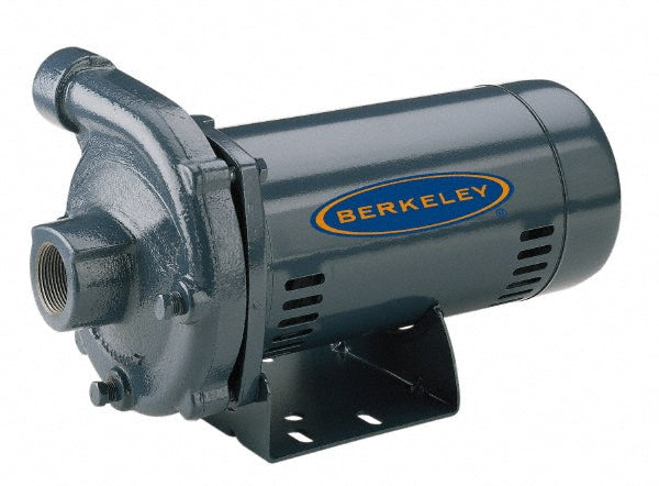 Berkeley S39522 AC Straight Pump 115/230V, 1-1/2 hp, 1 Phase, Cast Iron Housing, Noryl Impeller