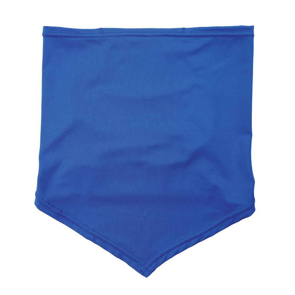 Ergodyne 42134 Cooling Bandana Interior Back-Of-Neck Pocket Holds Ice or Phase Change Packs for Advanced Cooling Along Neck (Ice Pack Not Included), Blue
