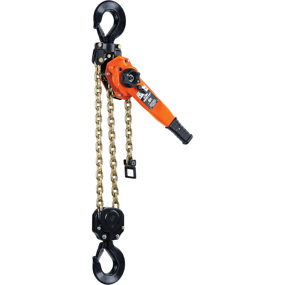 CM 5321A Manual Hoist 6000 lb Capacity