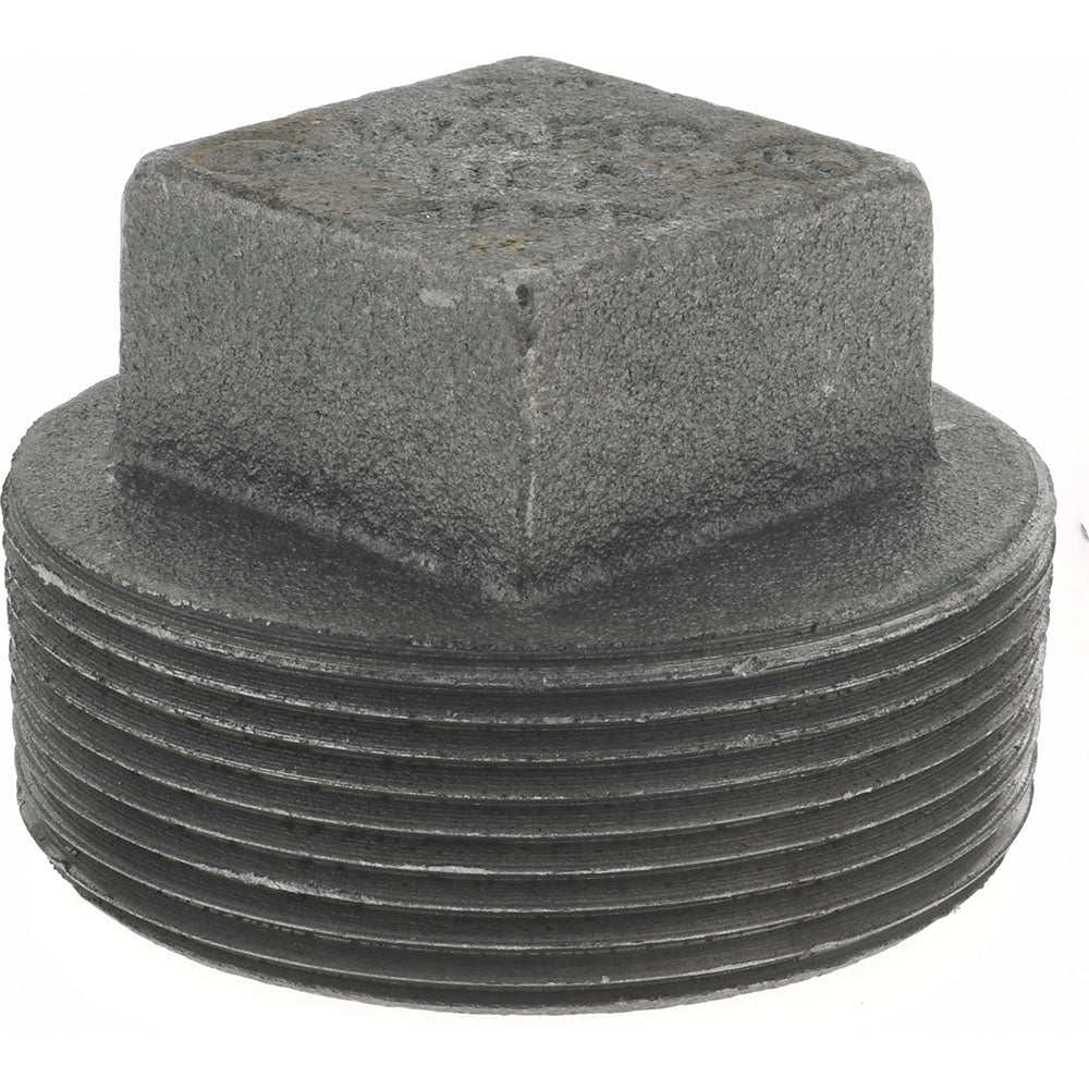 Anvil 0318902566 Black Square Plug 2", Threaded