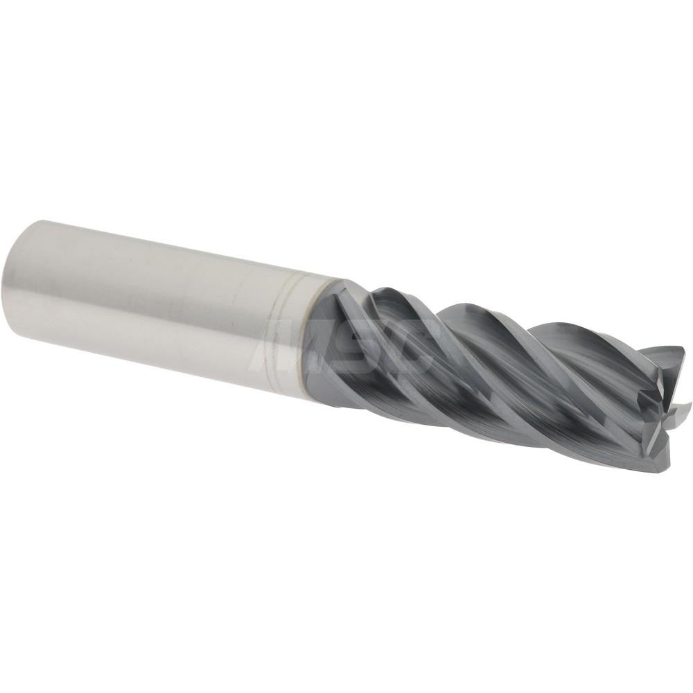 Accupro 95168505 Corner Radius End Mill 5/8" Dia, 1-5/8" LOC, 0.0300" Radius, 5 Flute, Solid Carbide