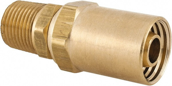 Dixon Valve & Coupling MSC1838148K 1/2 NPTF, Reusable Hose Male Fitting