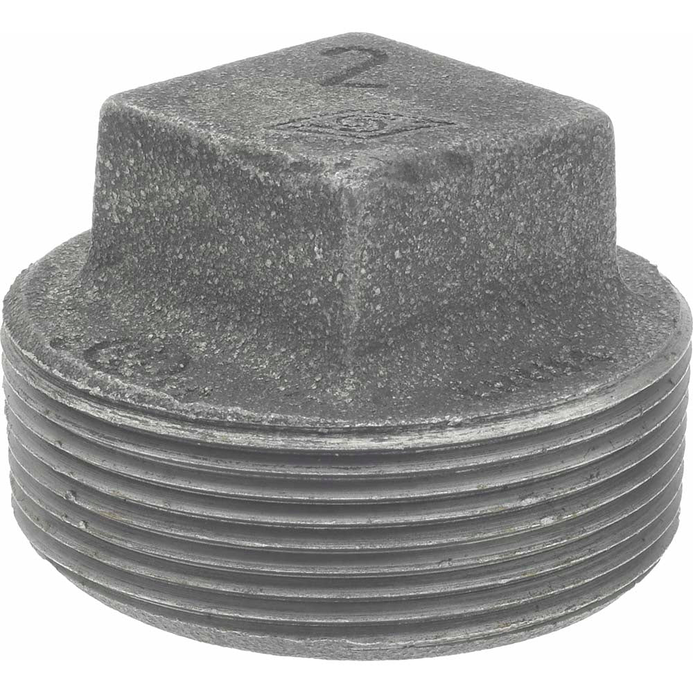 Value Collection B-PLG20 Black Square Plug 2", Malleable Iron