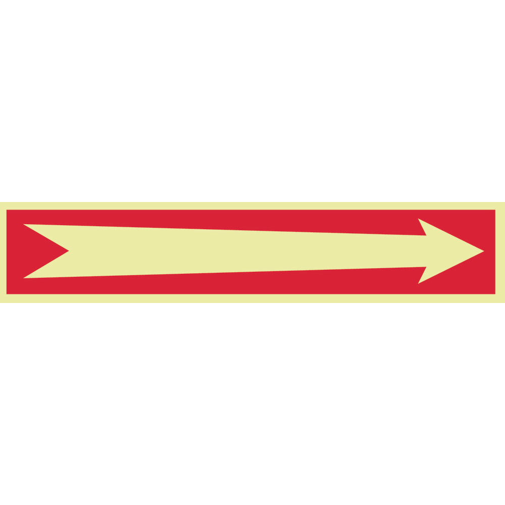 AccuformNMC GL14P Exit & Fire Sign
