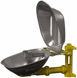 Bradley S19224DC Wall Mount, Stainless Steel Bowl, Eyewash Station