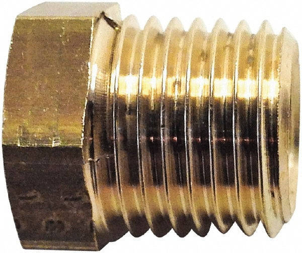 Legris 0163 21 17 Industrial Pipe Bushing 3/8" Female Thread, 1/2" Male Thread, MBSPT x FBSPP