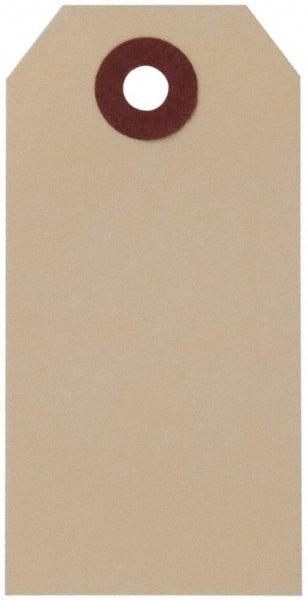 AccuformNMC BPT1 Blank Tag Paper, "Blank"