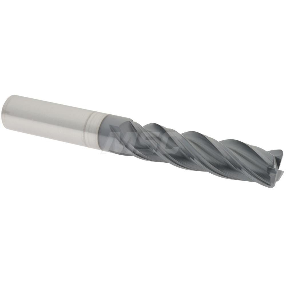 Accupro 95168359 Corner Radius End Mill 1/2" Dia, 2" LOC, 0.0600" Radius, 4 Flute, Solid Carbide