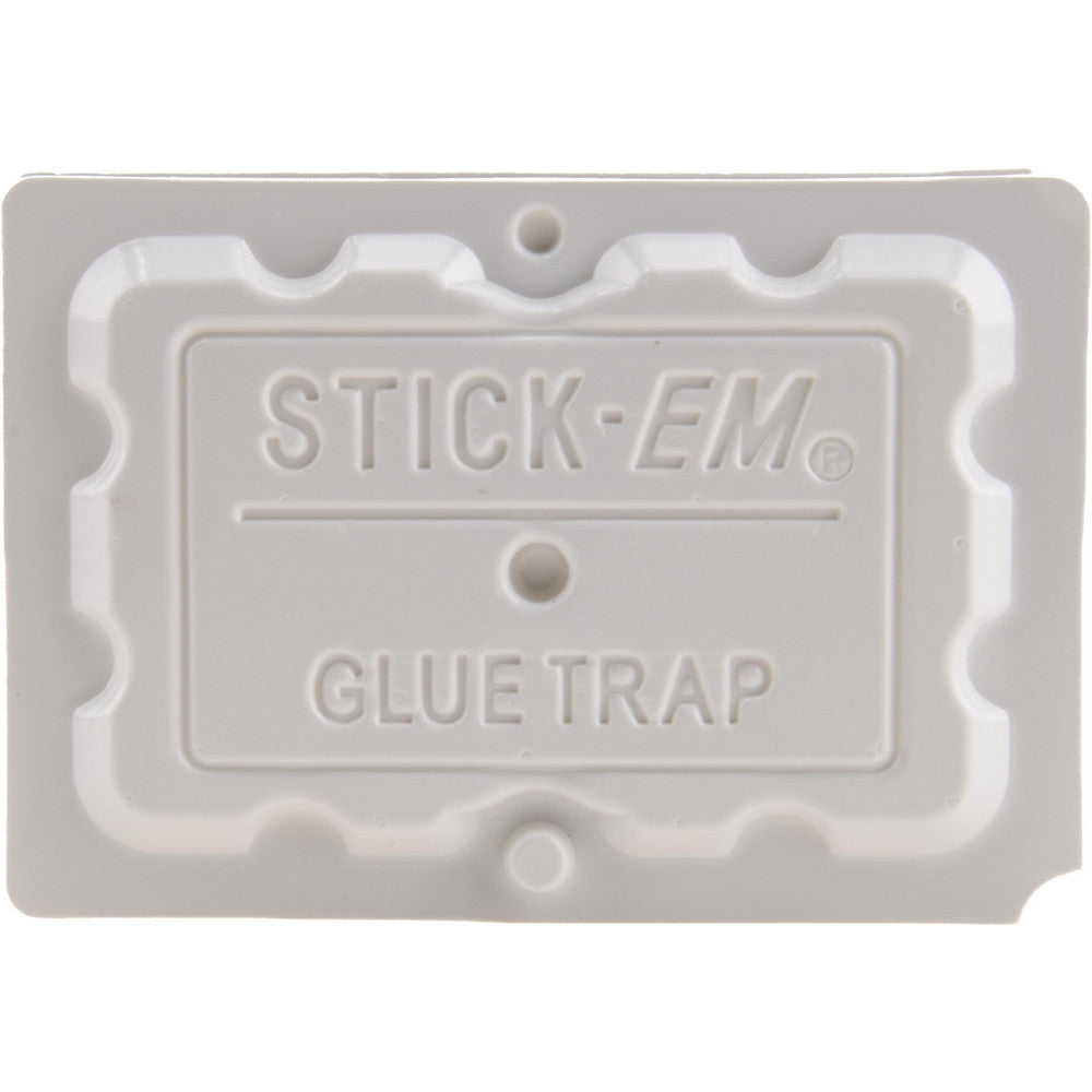 J.T. Eaton 122 1 96-Piece Glue Trap for Use on Mice