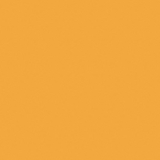 AccuformNMC FT18 Barricade Tape Orange,  Message" Blank", 150.00' Length