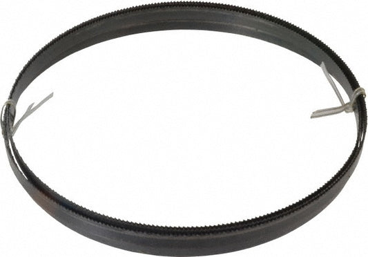 Disston E1977 Welded Bandsaw Blade 12' 6" Long, 0.025" Thick, 10 TPI