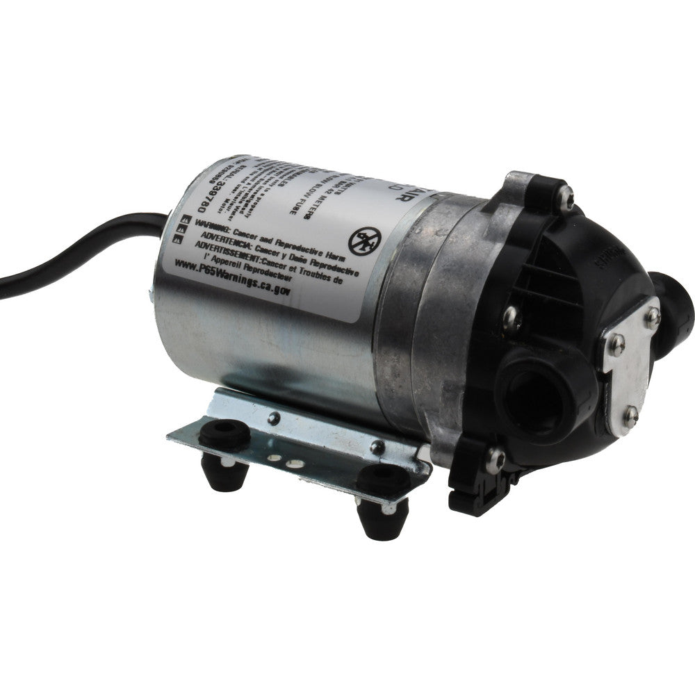 Pentair 8020-503-250 1/10 HP, 3/8 Inlet Size, 3/8 Outlet Size, ByPass, Diaphragm Spray Pump