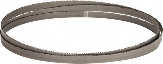 Starrett 13666 Welded Bandsaw Blade 11' 6" Long, 0.035" Thick, 6 to 10 TPI