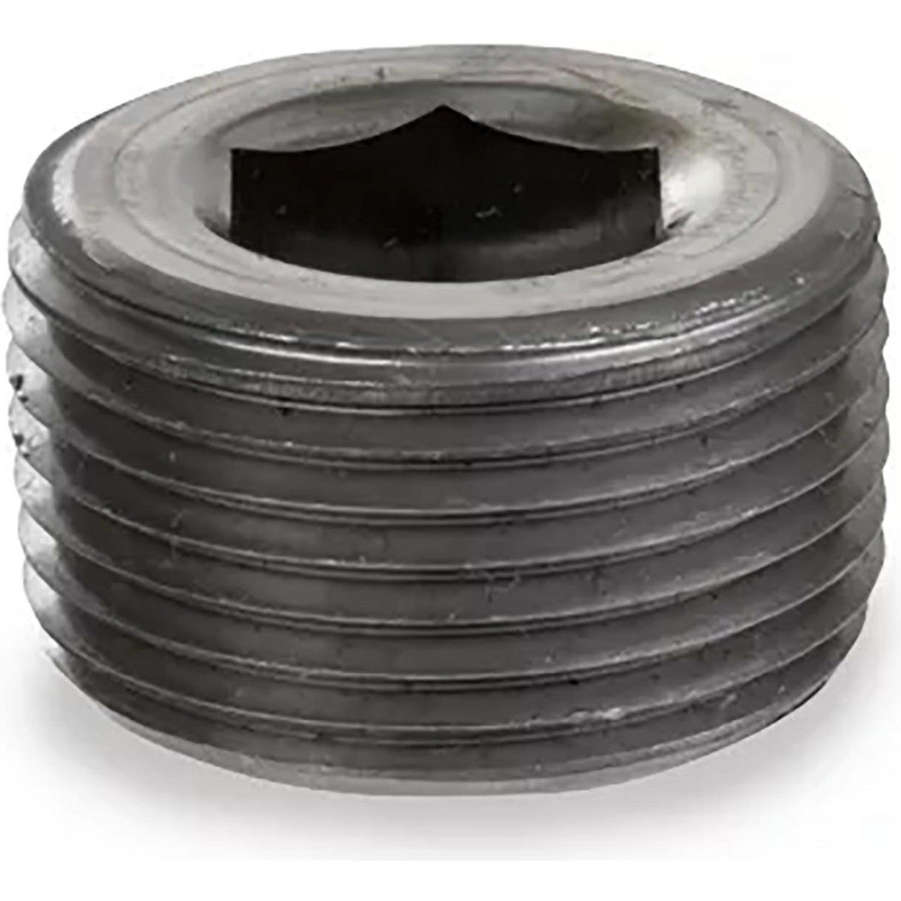 USA Industrials ZUSA-PF-20223 Black Hex Socket Plug 1/4", NPT
