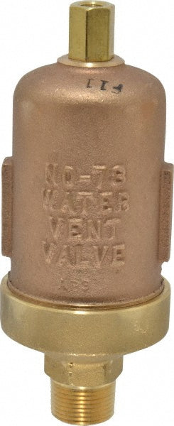 Hoffman Speciality 401485 1/8" Inlet, 3/4" Outlet, 150 Max psi, Cast Brass Water Vent