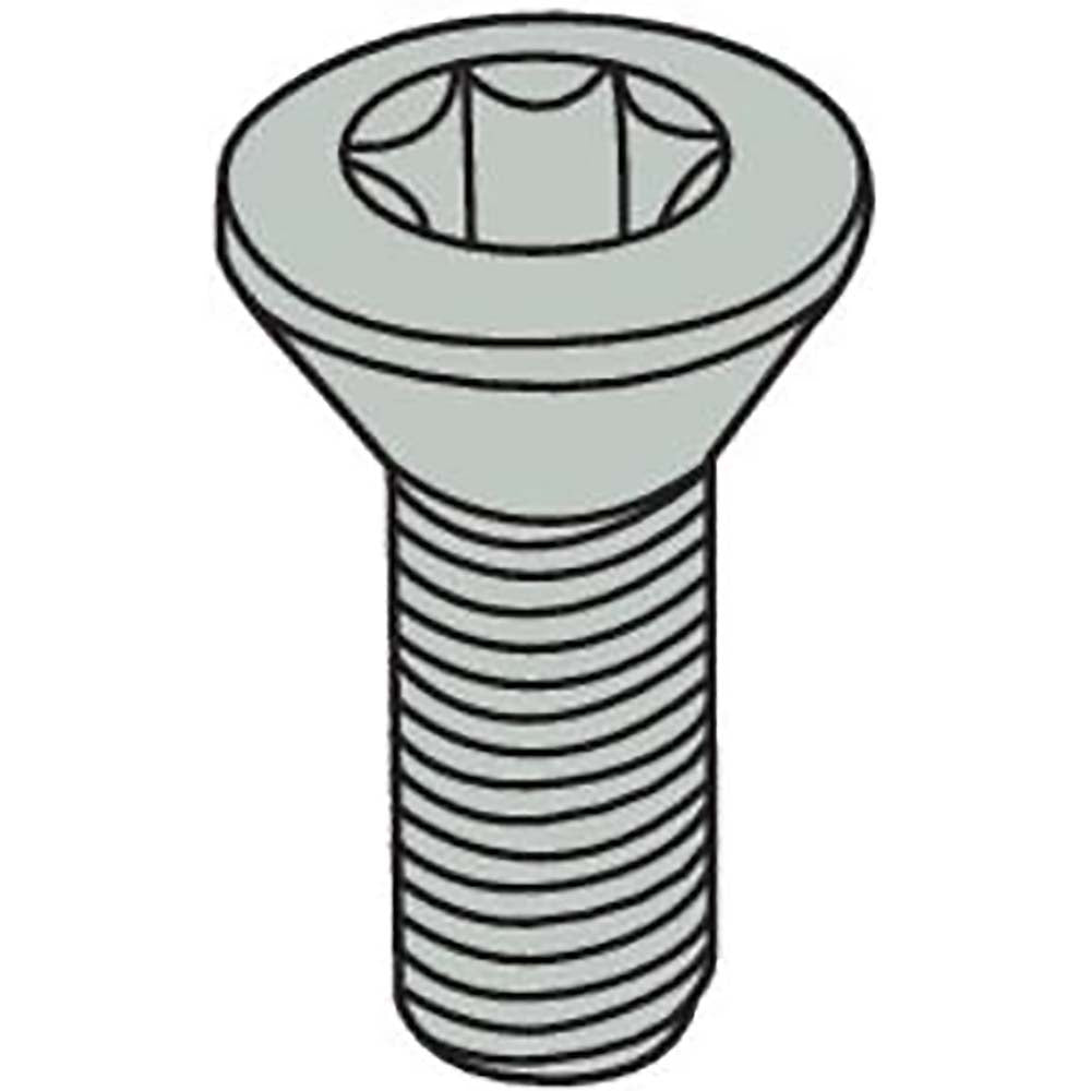 Seco 02587706 Cap Screw for Indexables TP20 Torx Plus