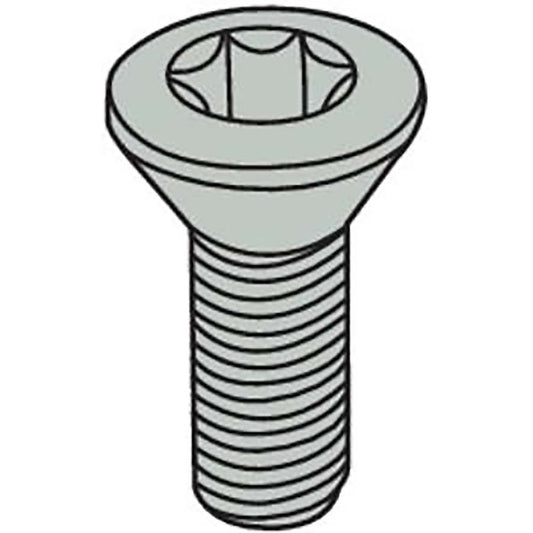 Seco 02587706 Cap Screw for Indexables TP20 Torx Plus