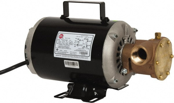 Jabsco 6050-0003 3/4 hp 1" Inlet Flexible Impeller Pump
