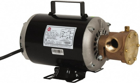 Jabsco 6050-0003 3/4 hp 1" Inlet Flexible Impeller Pump