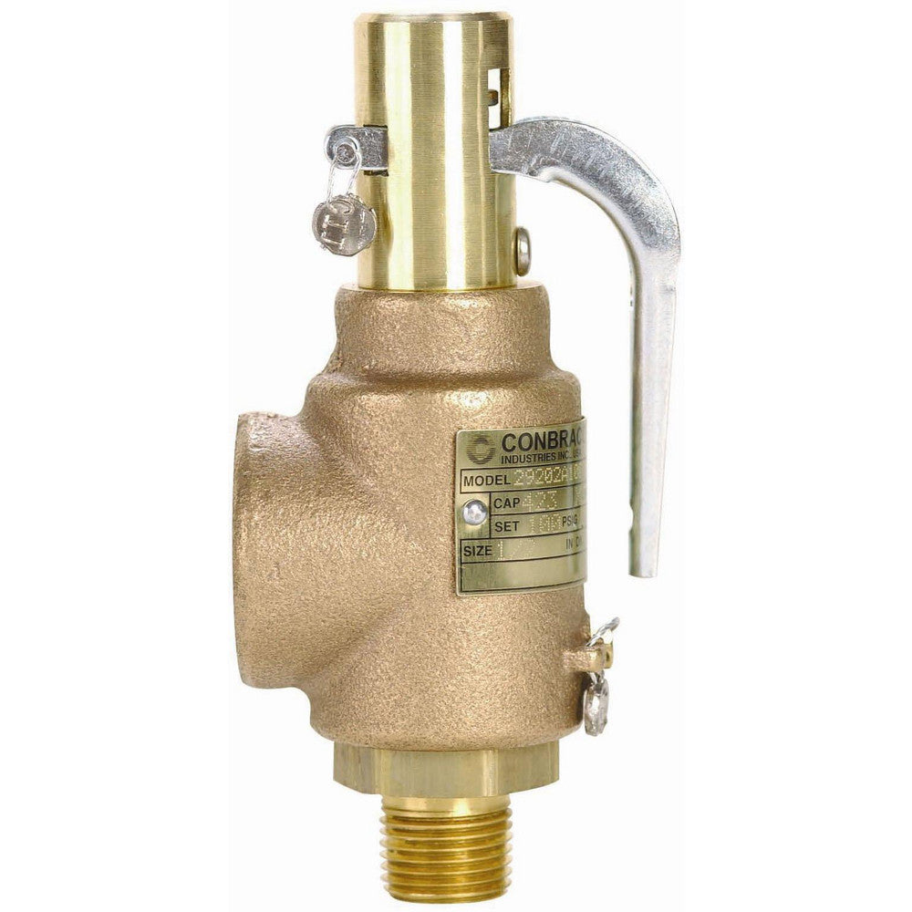 Apollo 29202A100 Safety Relief Valve 1/2" Inlet, 100 Max psi