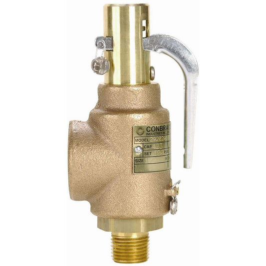 Apollo 29202A100 Safety Relief Valve 1/2" Inlet, 100 Max psi