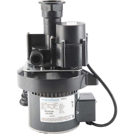 Hartell 802210 Waste Water Drain Sewage & Effluent Pump 1/8 hp, 2.2A, 115V