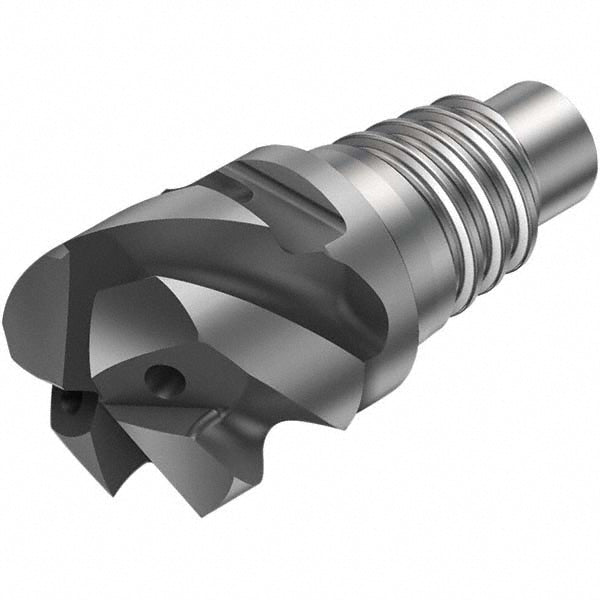Sandvik Coromant 7611802 Corner Radius End Mill Head 5 Flutes