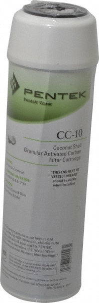 Pentair 155155-43 Plumbing Cartridge Filter 2-7/8" OD, 9-3/4" Long, 20 micron, Granular Activated Carbon