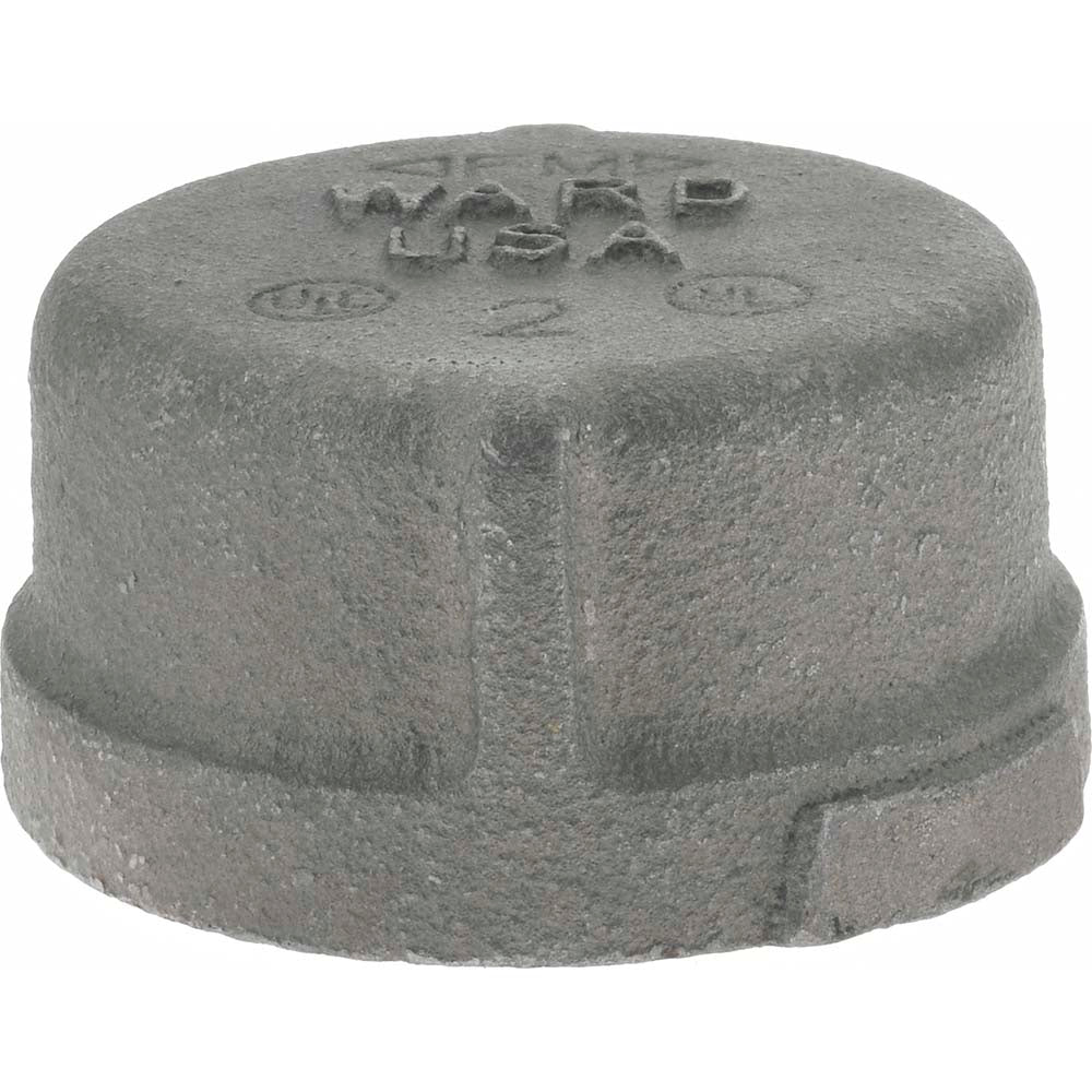 Value Collection B300 50 Black End Cap 2", Threaded
