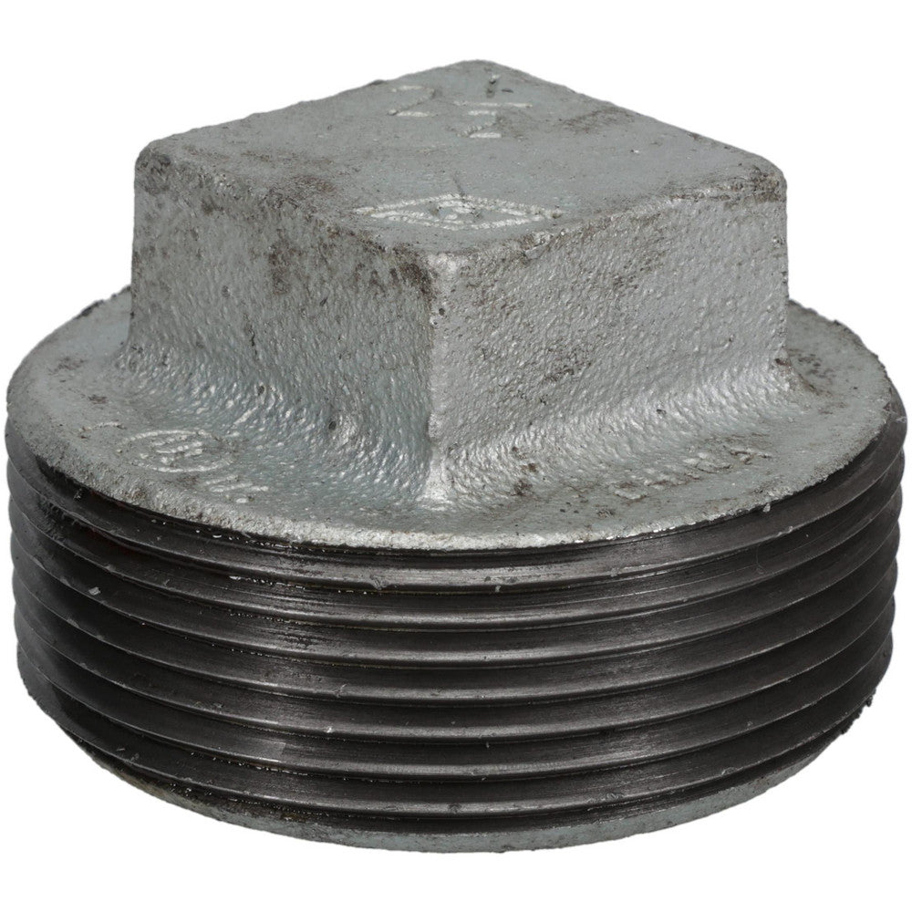 Value Collection G291 65 Malleable Iron Pipe Square Plug 2-1/2" Fitting