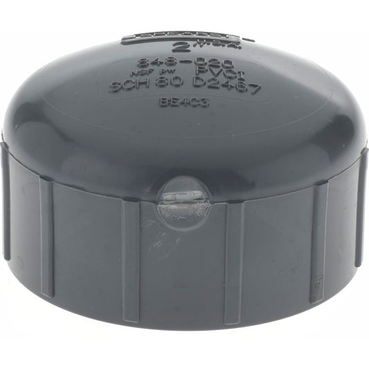 Value Collection 848-020 2" PVC Plastic Pipe End Cap