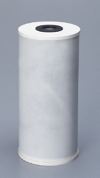 Pentair 155141-43 Plumbing Cartridge Filter 4-1/2" OD, 9-3/4" Long, 25 micron, Granular Activated Carbon