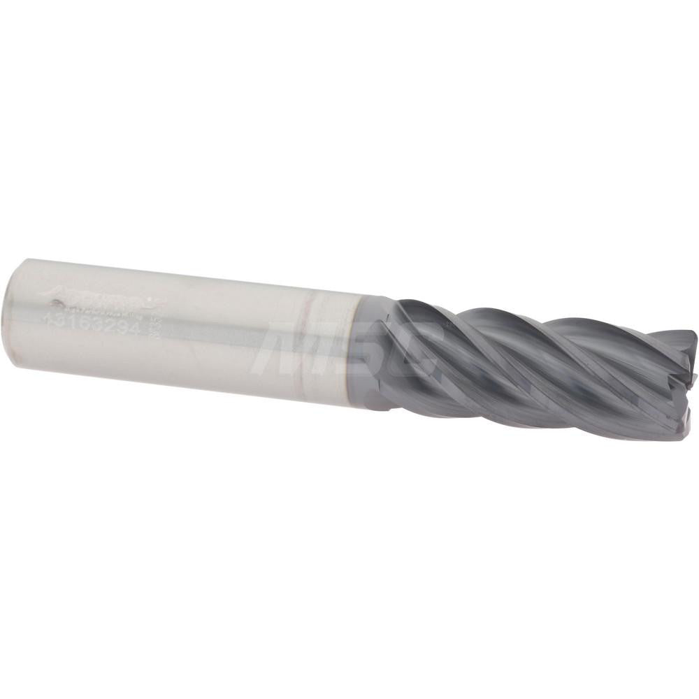 Accupro 95168306 Corner Radius End Mill 1/2" Dia, 1-1/4" LOC, 0.0400" Radius, 5 Flute, Solid Carbide