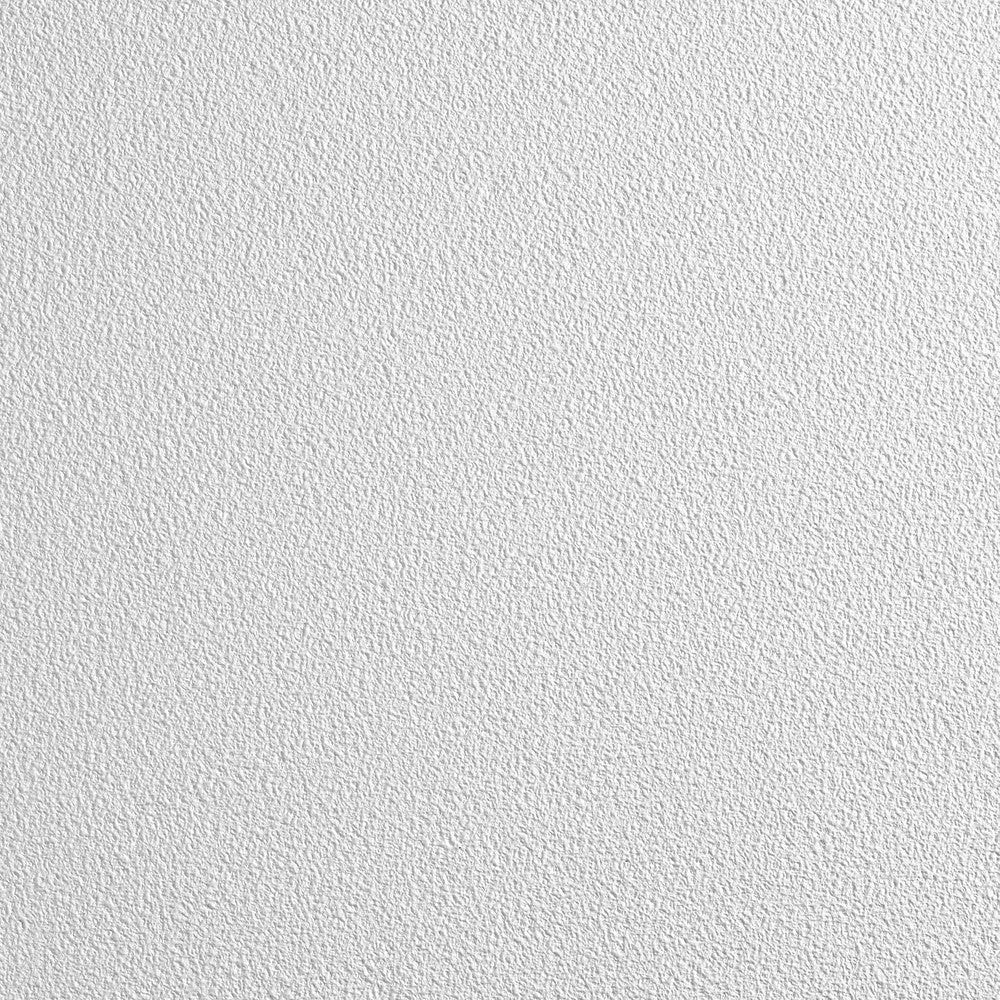 Armstrong World 868BN CLEAN ROOM VL 24 in x 24 in Ceiling Tile, White