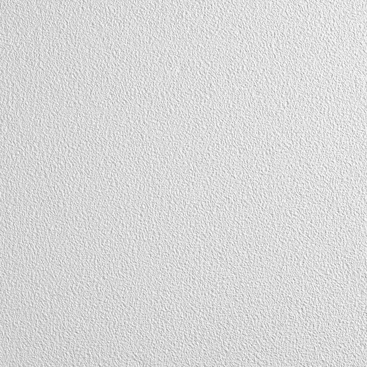 Armstrong World 868BN CLEAN ROOM VL 24 in x 24 in Ceiling Tile, White