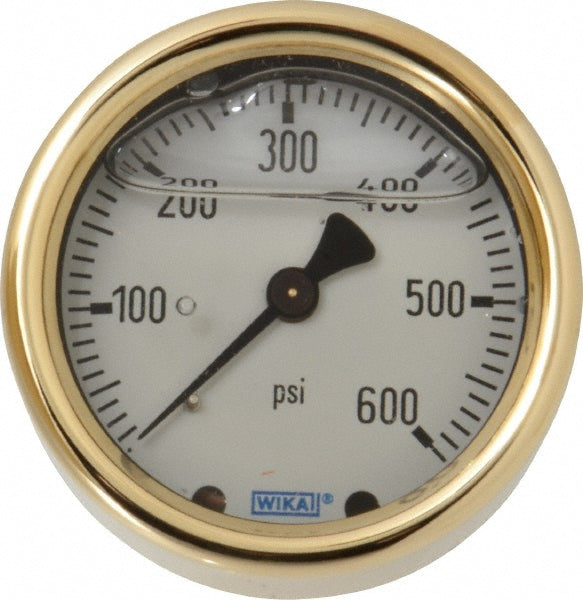 Wika 9318224 Pressure Gauge 2-1/2" Dial, 0 to 600 psi, 1/4" Thread, NPT, Back Mount