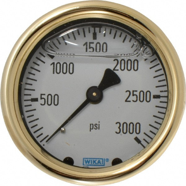 Wika 9318275 Pressure Gauge 2-1/2" Dial, 0 to 3,000 psi, 1/4" Thread, NPT, Back Mount