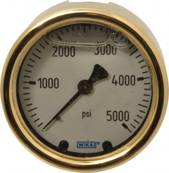 Wika 9318283 Pressure Gauge 2-1/2" Dial, 0 to 5,000 psi, 1/4" Thread, NPT, Back Mount