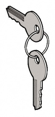 Schneider Electric ZBG455 Pushbutton Switch Key