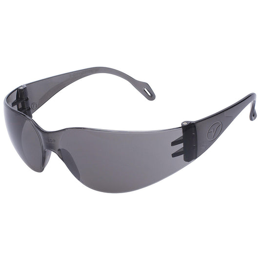 Encon Safety Products 05778224 Safety Glasses