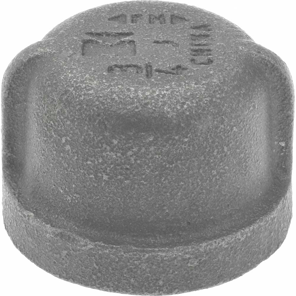 B&K Mueller 521-404HN Black End Cap 3/4", Threaded