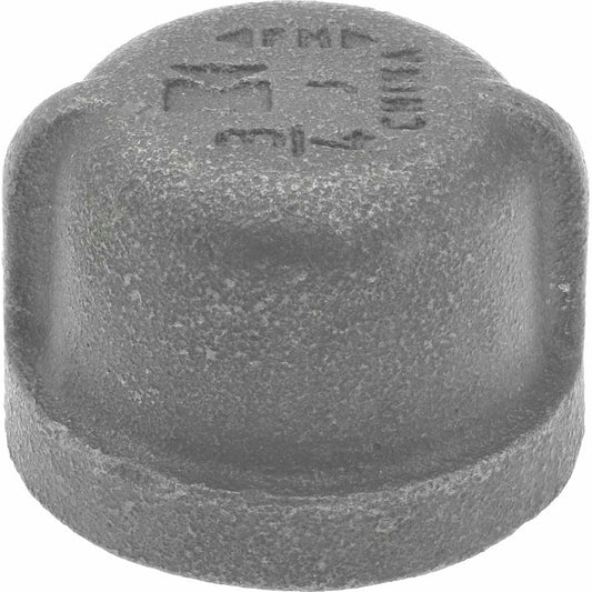 B&K Mueller 521-404HN Black End Cap 3/4", Threaded