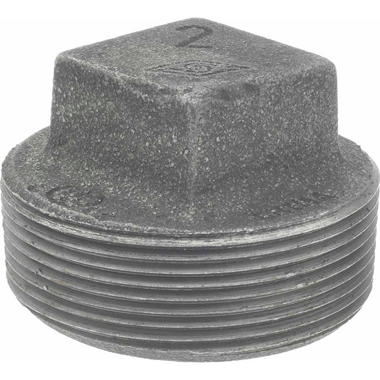 Value Collection B-PLG20 Black Square Plug 2", Malleable Iron
