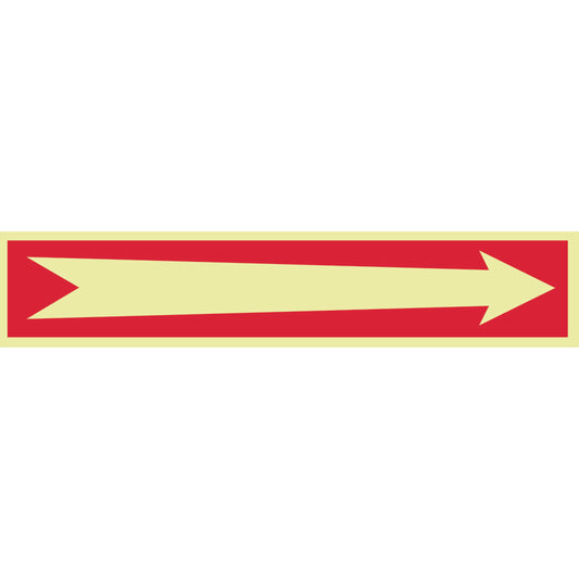 AccuformNMC GL14P Exit & Fire Sign