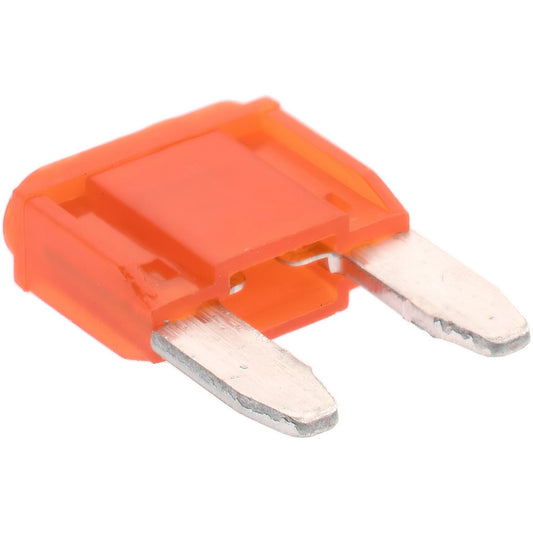 Value Collection BD998194 10 Amp, 32 VDC, Automotive Fuse