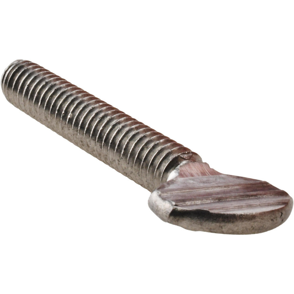 Value Collection R63283224 18-8 Stainless Steel Thumb Screw 1/4-20, Oval Head