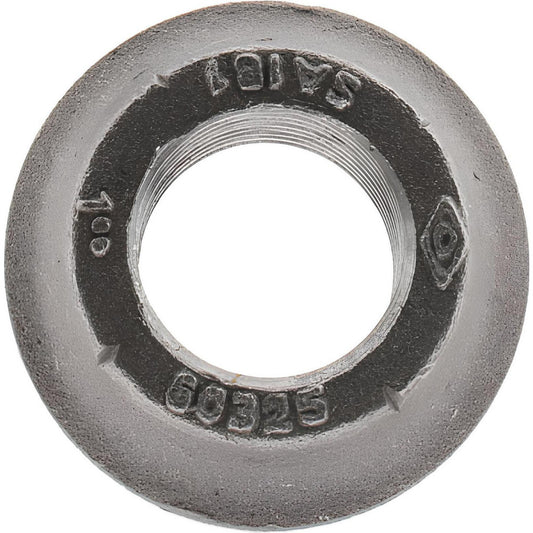 Cleveland-City Forge Inc 60325 1" Pipe, 2-3/8" Diam x 3/32" Thick, Tank Flange with Pilot