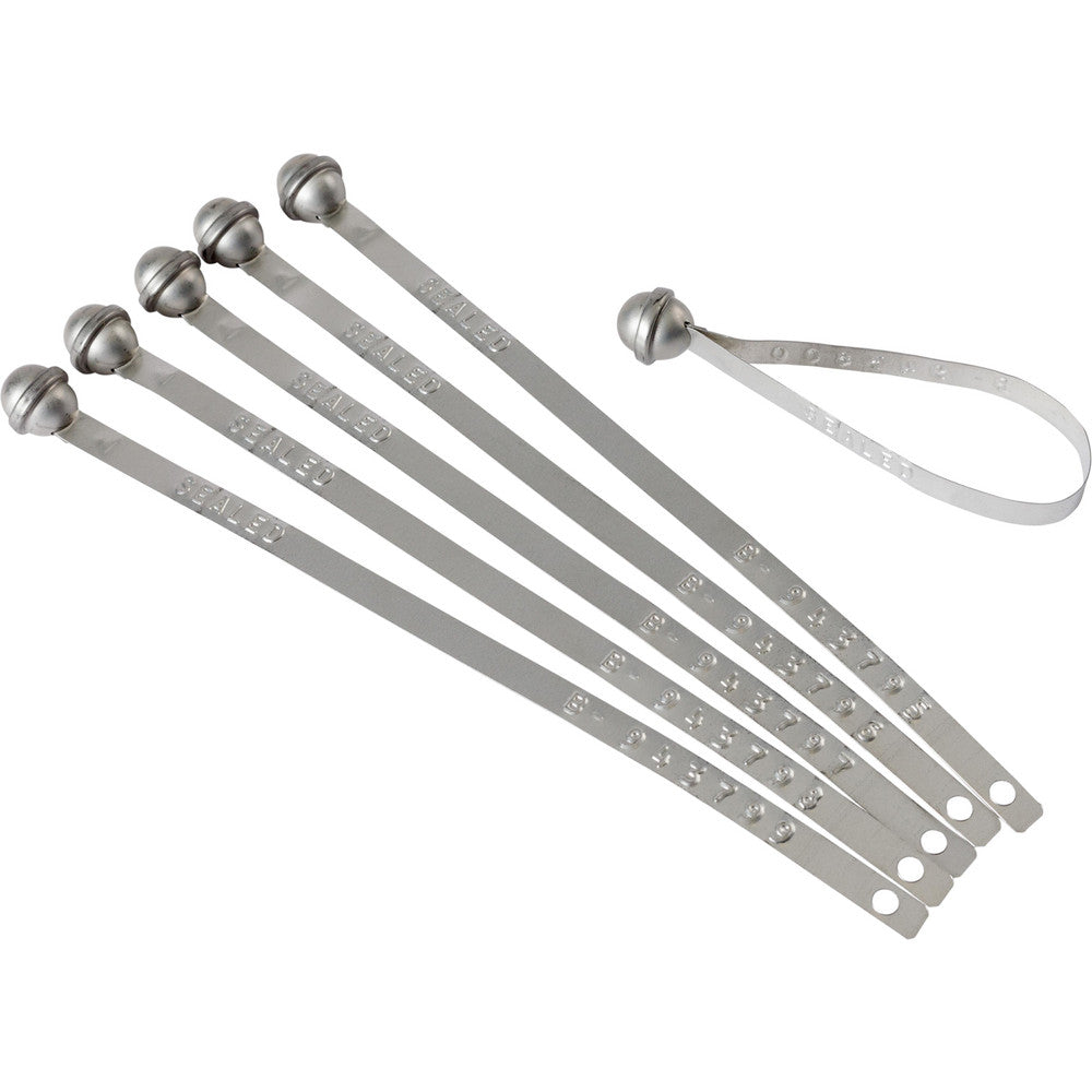 Brady 95197 Security Seals